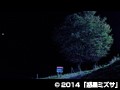 DMM.com [惑星ミズサ] DVD通販