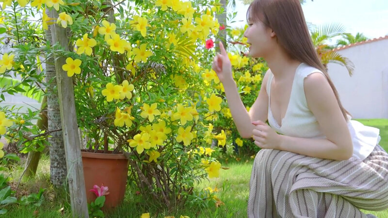 Miru 「Miru7 Shining Legend」 サンプル画像 1