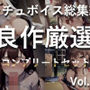 特大ボリューム♪良作選抜♪良作シチュボコンプリートパックVol.11♪4本まとめ売りセット