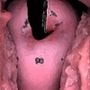 （ASMR）わたしの蟲姦遊び第10話妊娠中、子宮口にミミズを入れる編音声