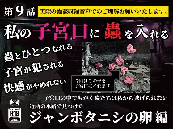 私の子宮口の中に蟲を入れる第9話近所の水路で見つけたジャンボタニシの卵編