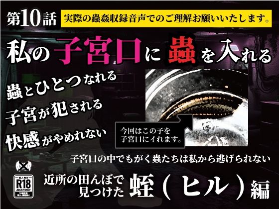 私の子宮口の中に蟲を入れる第10話近所の田んぼで見つけた蛭（ヒル）編