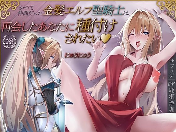 かつて仲間だった金髪エルフ聖騎士は、再会したあなたに種付けされたい（はーと）