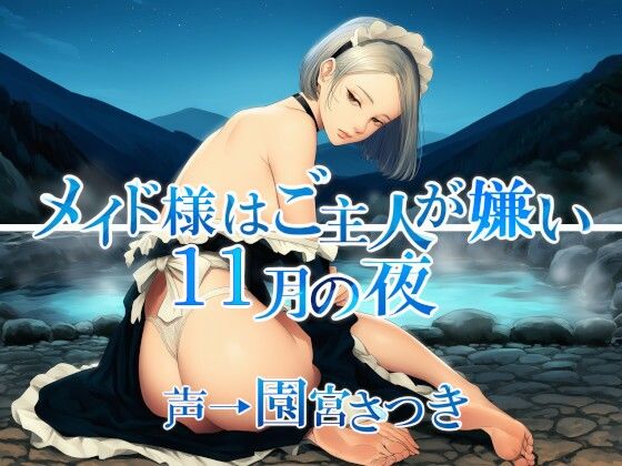 メイド様はご主人が嫌い11月の夜