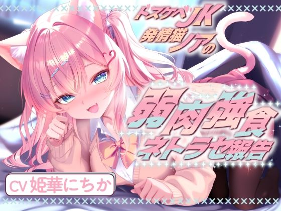 ドスケベJK発情猫ノアの弱肉強食ネトラセ報告