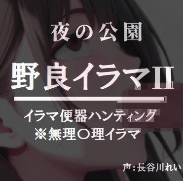 夜の公園ー野良イラマ2