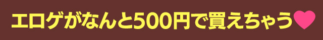 エロゲがなんと500円で買えちゃう