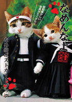 なめ猫ポストカードブック