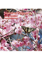 Insects of Nagano 吉村健二昆虫写真集
