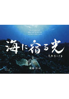 海に宿る光