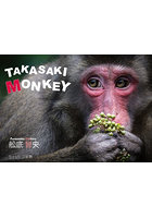 TAKASAKI MONKEY