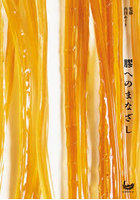 膠へのまなざし
