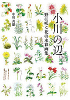 小川の辺 野に咲く花の水彩画集