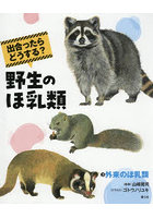 出合ったらどうする？野生のほ乳類 3