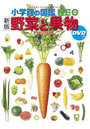 野菜と果物