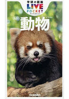 動物