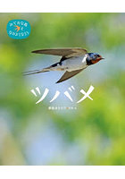 ツバメ