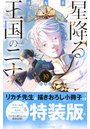 特装版 星降る王国のニナ 19