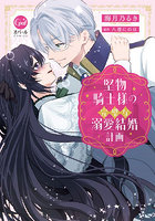 堅物騎士様の完璧な溺愛結婚計画