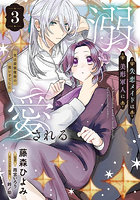 失恋メイドは美形軍人に溺愛される 実は最強魔術の使い手でした 3