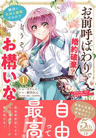 お前呼ばわりで婚約破棄？隣国で自由を謳歌するのでどうぞお構いなく！ 追放令嬢、実は最強精霊師でした 1
