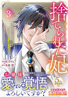 捨てられた妃 めでたく離縁が成立したので出ていったら、竜国の王太子からの溺愛が待っていました 3