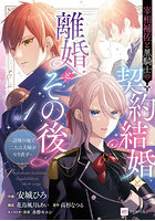 宰相補佐と黒騎士の契約結婚と離婚とその後 辺境の地で二人は夫婦をやり直す 1