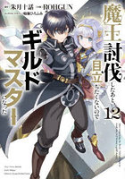 魔王討伐したあと、目立ちたくないのでギルドマスターになった 12