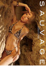 SAUVAGE CYBERJAPAN DANCERS HARACHAN写真集