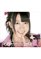 佐々木優佳里 卓上2014年カレンダー