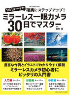 ミラーレス一眼カメラ30日でマスター