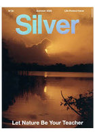 Silver 32