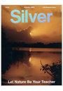 Silver 32