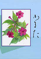 【クリックで詳細表示】花かるた 絵とエッセー