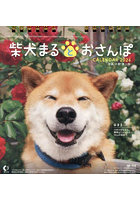 2026卓上カレンダー柴犬まるとおさんぽ