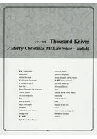 ThousandKnives/Merry