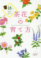 鉢で手軽に楽しむ茶花の育て方