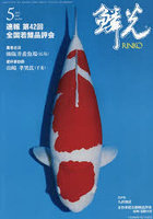 鱗光 2026-5