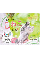 ’27にゃっぷる保護ねこカレンダー卓上版