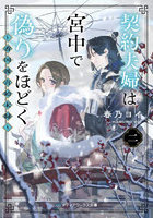 契約夫婦は宮中で偽りをほどく 香国後宮始末録 2