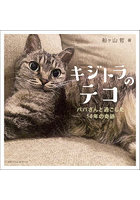キジトラのテコ