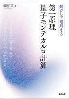第一原理量子モンテカルロ計算 動かして理解する