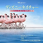 「ディズニーネイチャー/フラミンゴに隠された地球の秘密」