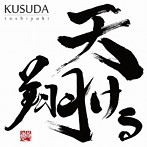天翔ける/楠田敏之