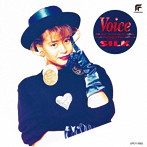 Voice/SILK