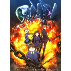 Accel World REGION RECORDS 1