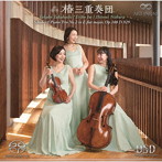 シューベルト:ピアノ三重奏曲 第2番 変ホ長調