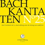 ルッツ/バッハ:カンタータ集 第25集