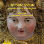 エリザベス朝時代の英国のリュート二重奏