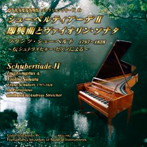 七條恵子/山口幸恵/浜松市楽器博物館コレクションシリーズ40 シューベルティアーデII 即興曲とヴァイオリン・ソナタ フランツ・シューベルト 1797〜1828〜伝シュトライヒャー・ピアノによる〜